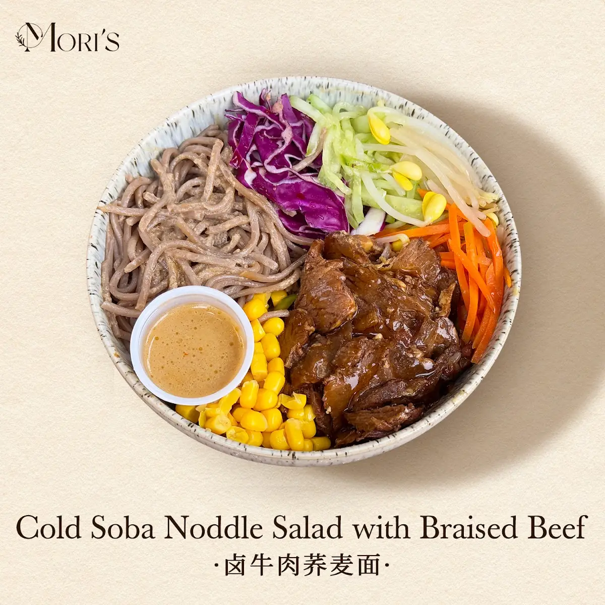 braised beef cold soba noodle salad 中式卤牛肉荞麦面